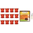 Kraft Seeds Plastic Pot with Bottom Plate, Red, 8 inch, Pack of 12 &amp; Garden Shears Pruners Scissor (Assorted) &amp; Cocopeat Block Agropeat Powder for Hydroponics Plant for Garden- 5kg Approx.