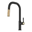KRAUS Brushed Brass Matte Black 16 in Pull Down Faucet KPF-2841SFBBMB