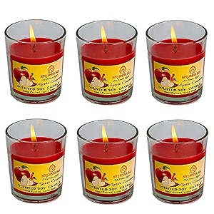 soy wax apple cinamon scented glass candles for room decoration festival candle night dinner amp birthdaypack of 6 red 45 g each