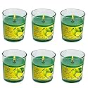 Soy Wax Fresh Lemon Scented Glass Candles for Room Decoration, Festival, Candle Night Dinner &amp; Birthday.(Pack of 6, Green) 45 g Each