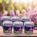 Soy Wax Lavender Mint Scented Glass Candles for Room Decoration, Festival, Candle Night Dinner &amp; Birthday.(Pack of 6, Voilet) 45 g Each