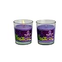 Soy Wax Lavender Mint Scented Glass Candles for Room Decoration, Festival, Candle Night Dinner & Birthday.(Pack of 2, Voilet) 45 g Each