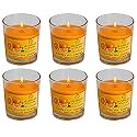 Soy Wax Mandarin Scented Glass Candles for Room Decoration, Festival, Candle Night Dinner &amp; Birthday.(Pack of 6, Orange) 45 g Each