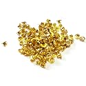 KROST Metal Eyelet for Grommet Hole Rivets (Golden, 250 Piece)