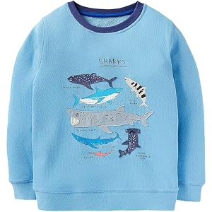 Krystle Kids Winter Sweatshirt for Boys