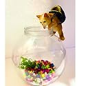 KSH STORE-10INCH Aquarium Bowl Cute Orange CAT TOY look like NATURAL ,Colour Stone and Plant for Fish | Fish Bowl |Fish Pot | Long Lasting | UN BREAKABLE | Plastic | ust Resistant) (LARGE, BOWL WITH CAT ORANGE)