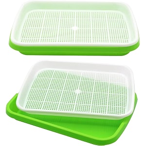 seed sprouter tray with drain holes  bpa free nursery seed germination tray healthy wheatgrass seeds grower amp storage tray for garden home office with germinating paper pack of 2