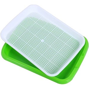 seed sprouter tray with drain holes  bpa free nursery seed germination tray healthy wheatgrass seeds grower amp storage tray for garden home office with germinating paper pack of 1