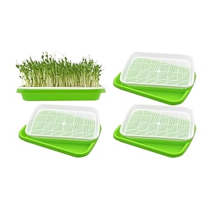 seed sprouter tray with drain holes  bpa free nursery seed germination tray healthy wheatgrass seeds grower amp storage tray for garden home office with germinating paper pack of 4