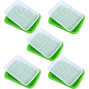 seed sprouter tray with drain holes  bpa free nursery seed germination tray healthy wheatgrass seeds grower amp storage tray for garden home office with germinating paper pack of 5