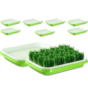seed sprouter tray with drain holes  bpa free nursery seed germination tray healthy wheatgrass seeds grower amp storage tray for garden home office with germinating paper pack of 7