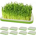 Seed Sprouter Tray with Drain Holes | BPA Free Nursery Seed Germination Tray Healthy Wheatgrass Seeds Grower & Storage Trays for Garden Home Office with Germinating Paper (Pack of 8)