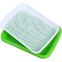 Seed Sprouter Tray with Drain Holes | BPA Free Nursery Seed Germination Tray Healthy Wheatgrass Seeds Grower &amp; Storage Tray for Garden Home Office with Germinating Paper (Pack of 1)