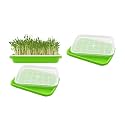 Seed Sprouter Tray with Drain Holes | BPA Free Nursery Seed Germination Tray Healthy Wheatgrass Seeds Grower &amp; Storage Tray for Garden Home Office with Germinating Paper (Pack of 3)