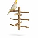 KSK Natural Wooden Parrot Stand & Bird Perch – Tree Style Bird Perch for Cage & Table Top | Strong Natural Wood Training Perch for Parrots, Cockatiels, Conures, African Grey, Budgies & Medium Birds