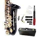 Ktaxon Alto Saxophone Drop E Brass Sax Full Kit for Student Beginner, Black