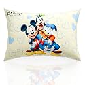 Kuber Industries 16x24 Inch Microfiber Pillows for Bed | Washable &amp; Neck Support Soft Pillow for Sleeping Bedroom and Living Room | Disney Print - Cream