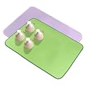 Kuber Industries Dish Dry Mat | Microfiber Drying Mat | Reversible Kitchen Drying Mat | Absorbent Mat | Kitchen Dish Dry Mat | 50x70 | Pack of 2 | Light Purple &amp; Green