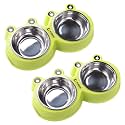 Kuber Industries Dog Food Bowl|Stainless Steel,PVC Material Dog Bowls|Non Slip,Durable,Sturdy,Non Toxic|Perfect Dog Accessories for Indoor &amp; Outdoor Use|A1009G|Pack of 2|Green
