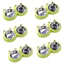 Kuber Industries Dog Food Bowl|Stainless Steel,PVC Material Dog Bowls|Non Slip,Durable,Sturdy,Non Toxic|Perfect Dog Accessories for Indoor &amp; Outdoor Use|A1009G|Pack of 6|Green
