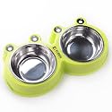 Kuber Industries Dog Food Bowl|Stainless Steel,PVC Material Dog Bowls|Non Slip,Durable,Sturdy,Non Toxic|Perfect Dog Accessories for Indoor &amp; Outdoor Use|A1009G|Green