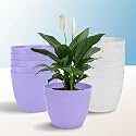 Kuber Industries Plastic Hanging Flower Pot for Balcony &amp; Railing Set of 6 (Blue)-18x18x59 cm