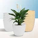Kuber Industries Plastic Hanging Flower Pot for Balcony &amp; Railing Set of 6 (Blue)-18x18x59 cm