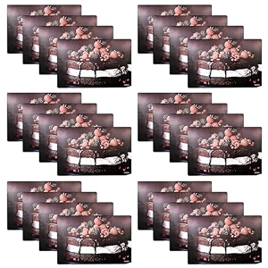 kuber industries pack of 24 fridge shelf mat  mats for fridge shelves  washable refrigerator mat  square print fridge sheet  maroon