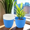 Kuber Industries Pack of 4 Flower Pot