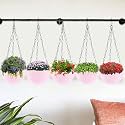 Kuber Industries Pack of 5 Hanging Flower Pot | Hanging Flower Pot for Living Room | Planters for Home-Lawns &amp; Gardening | Flower Planter for Balcony | Marble Euro | 7 Inch | Pink