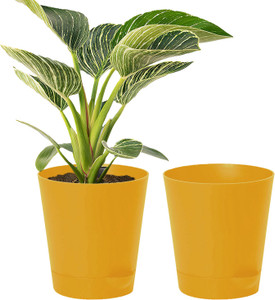 KUBER INDUSTRIES Plant Container Set