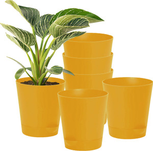 KUBER INDUSTRIES Plant Container Set