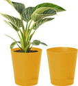 KUBER INDUSTRIES Plant Container Set