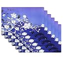 Kuber Industries Table Mats Set of 6 | Dining Table Plate Mat | PVC Table Placemats | Kitchen Table Mat | Heat Resistant Dinner Mat | Flower Print | Blue