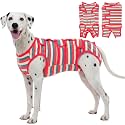 Kuoser Dog Surgery Recovery Suit, Cone E-Collar Alternative, Red L