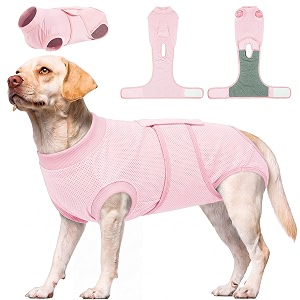 Kuoser Dog Surgery Suit Female Spay Dog