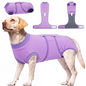 Kuoser Dog Surgery Suit Female Spay Dog