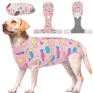 Kuoser Dog Surgery Suit Female Spay Dog