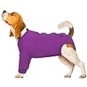 Kuoser Dog Surgery Suit Female Spay, Dog Recovery Sleeves for Front Legs, Prevent Licking Recovery Suit for Dogs, Pet Surgical Suit Doggie Onesie, Puppy Elbow Protector for Leg Injuries and Joint Pain
