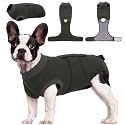 Kuoser Dog Surgery Suit Female Spay Dog