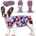 Kuoser Dog Surgery Suit Female Spay Dog