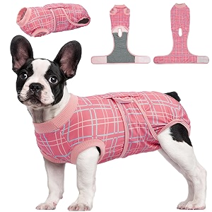 Kuoser Recovery Suit for Dogs After Surgery
