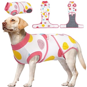 Kuoser Recovery Suit for Dogs After Surgery