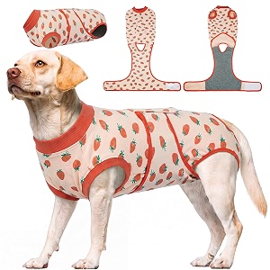 Kuoser Recovery Suit for Dogs After Surgery