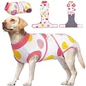Kuoser Recovery Suit for Dogs After Surgery