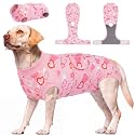 Kuoser Recovery Suit for Dogs After Surgery