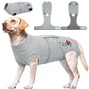 Kuoser Recovery Suit for Dogs After Surgery