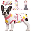 Kuoser Recovery Suit for Dogs After Surgery