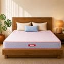 Kurlon Ortho Plus Spring Mattress Double