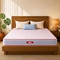 Kurlon Ortho Plus Spring Mattress Single